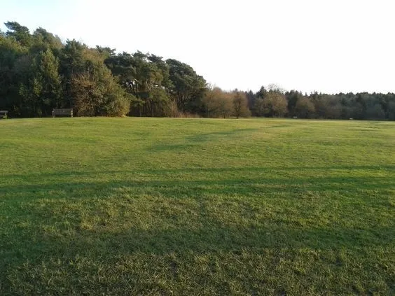 a view of a field with a yard