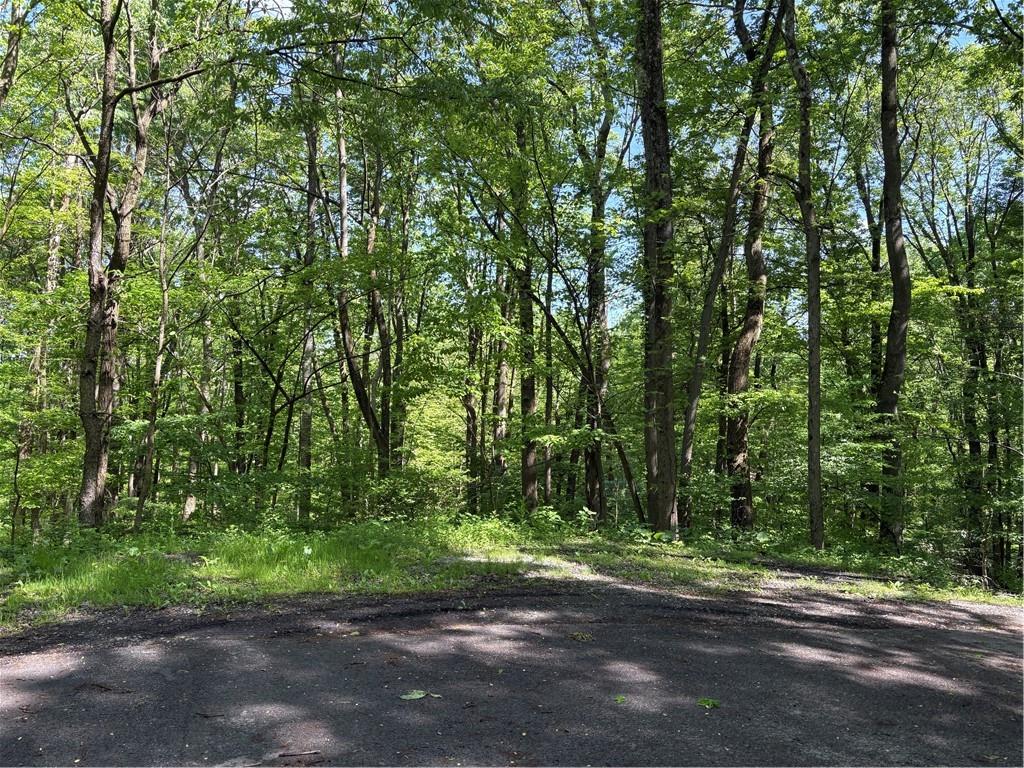 Lot 1 Cottonwood Road Acme, PA 15610 - Photo 24 of 25