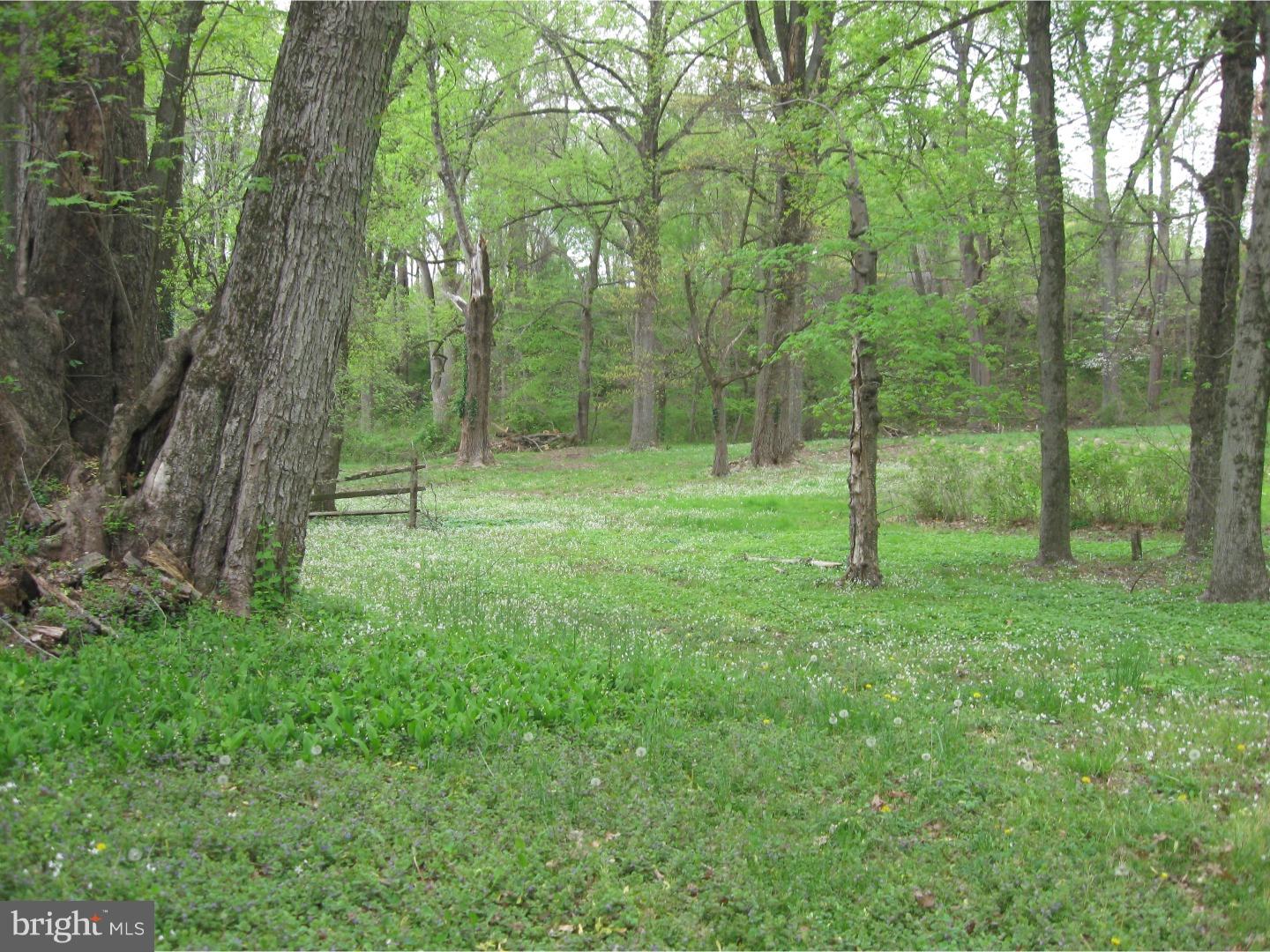 135 Glen Riddle Road Media, PA 19063 - Photo 14 of 15 Back Yard