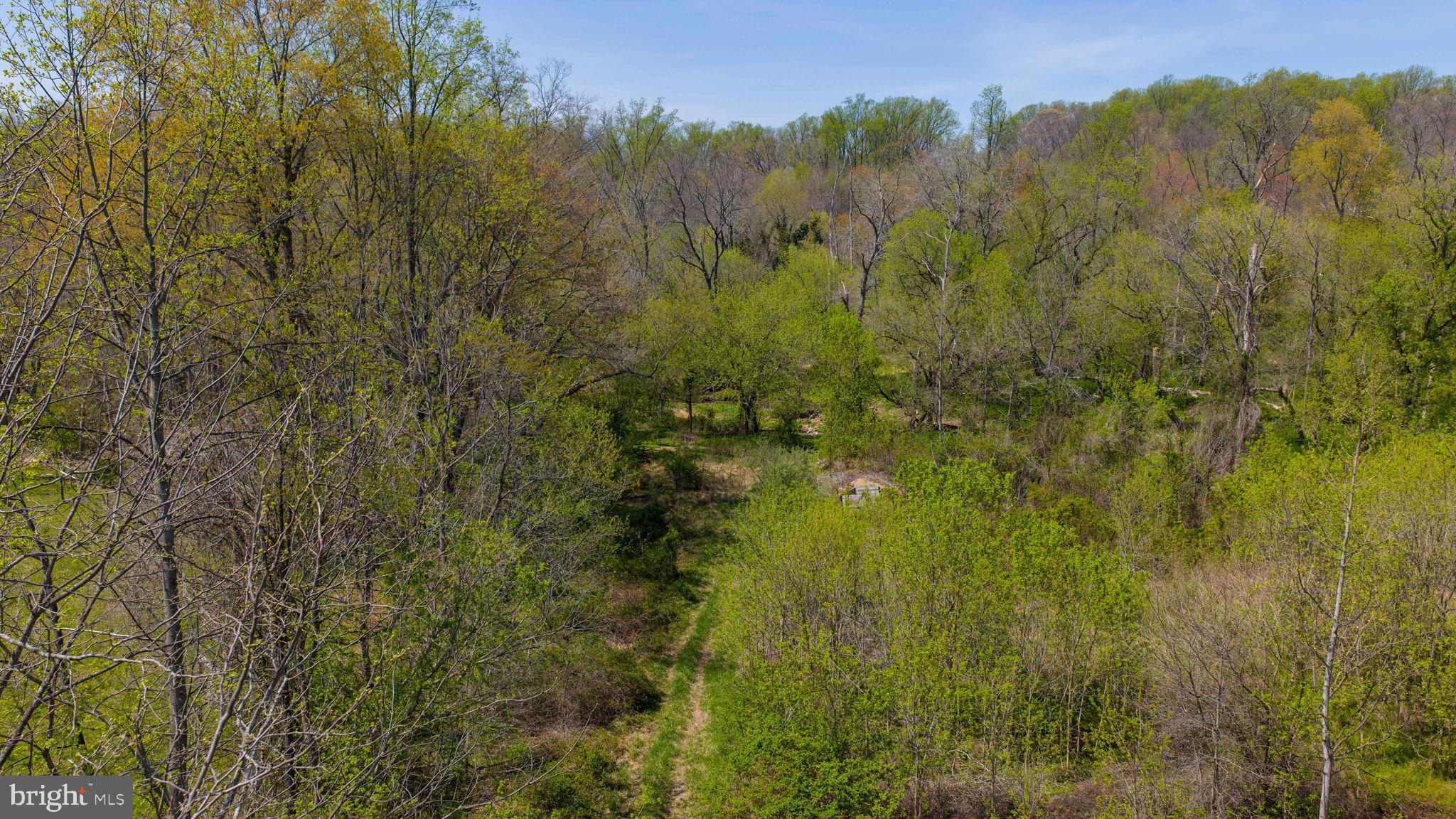 95 Frog Hollow Lane Rising Sun, MD 21911 - Photo 19 of 27