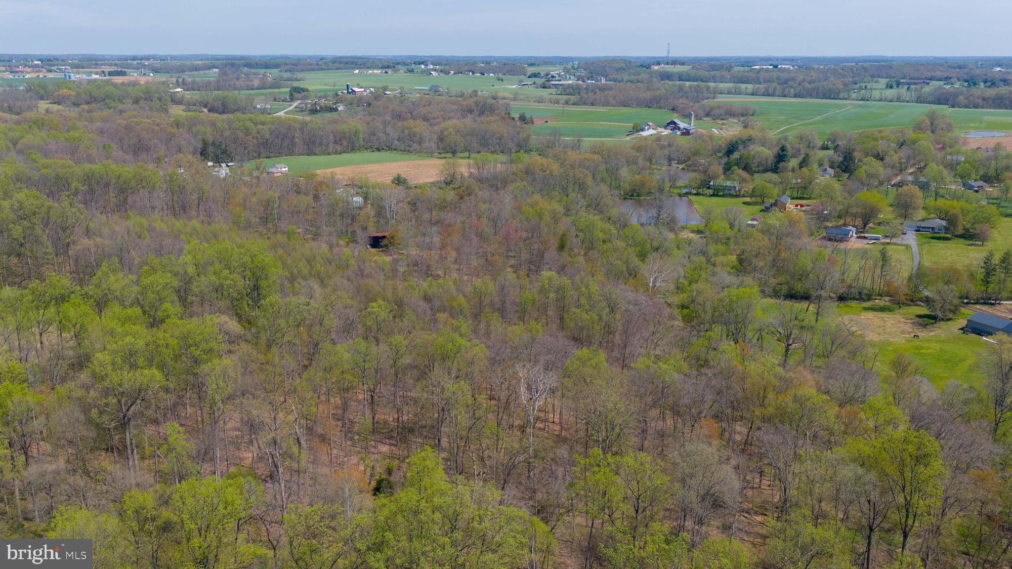 95 Frog Hollow Lane Rising Sun, MD 21911 - Photo 6 of 27