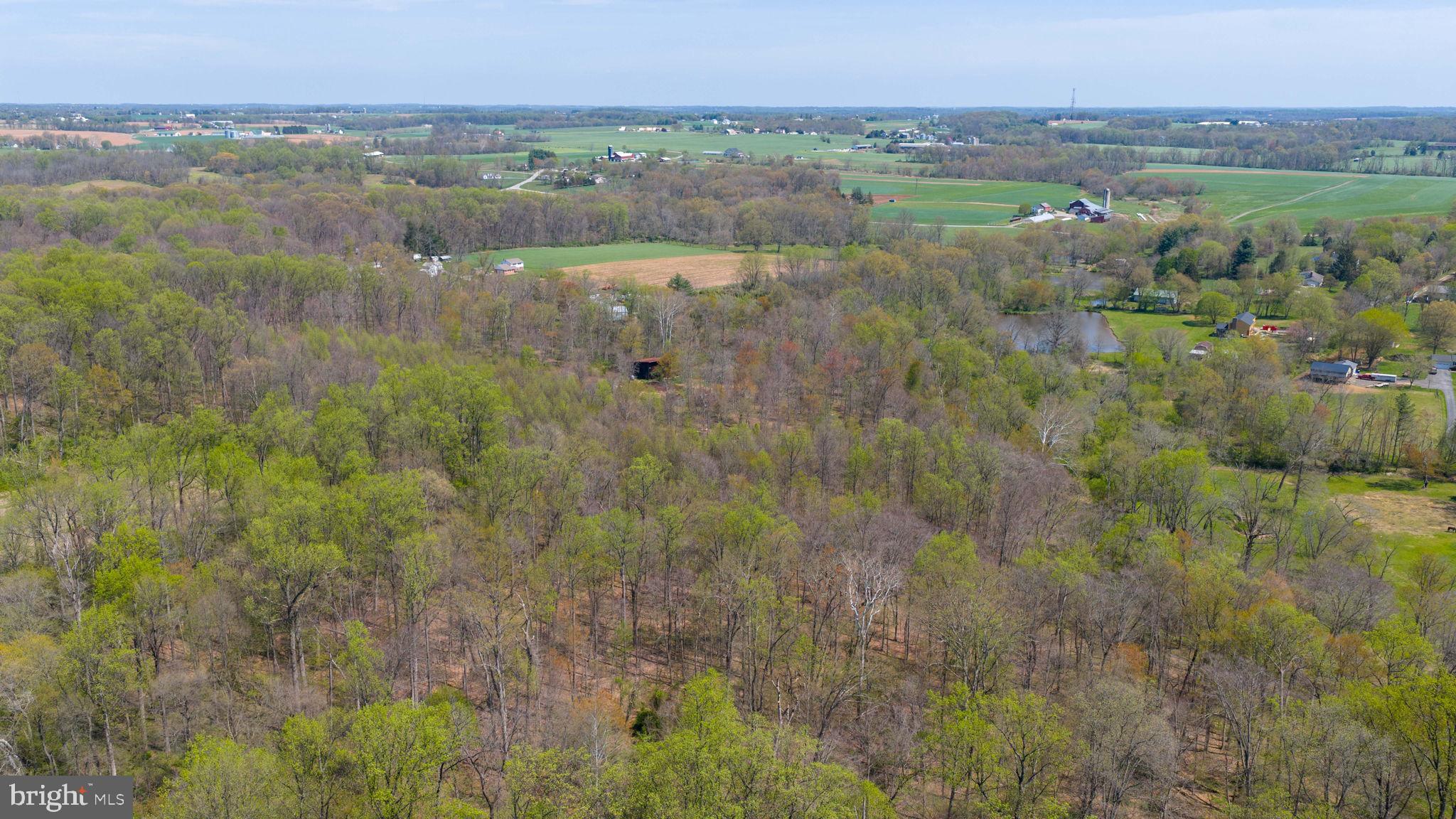 95 Frog Hollow Lane Rising Sun, MD 21911 - Photo 7 of 27