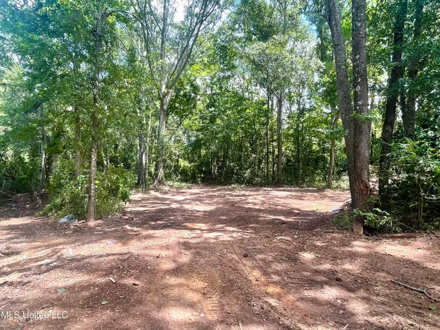 $250,000 | 402 Drury Lane, Brookhaven, MS 39601