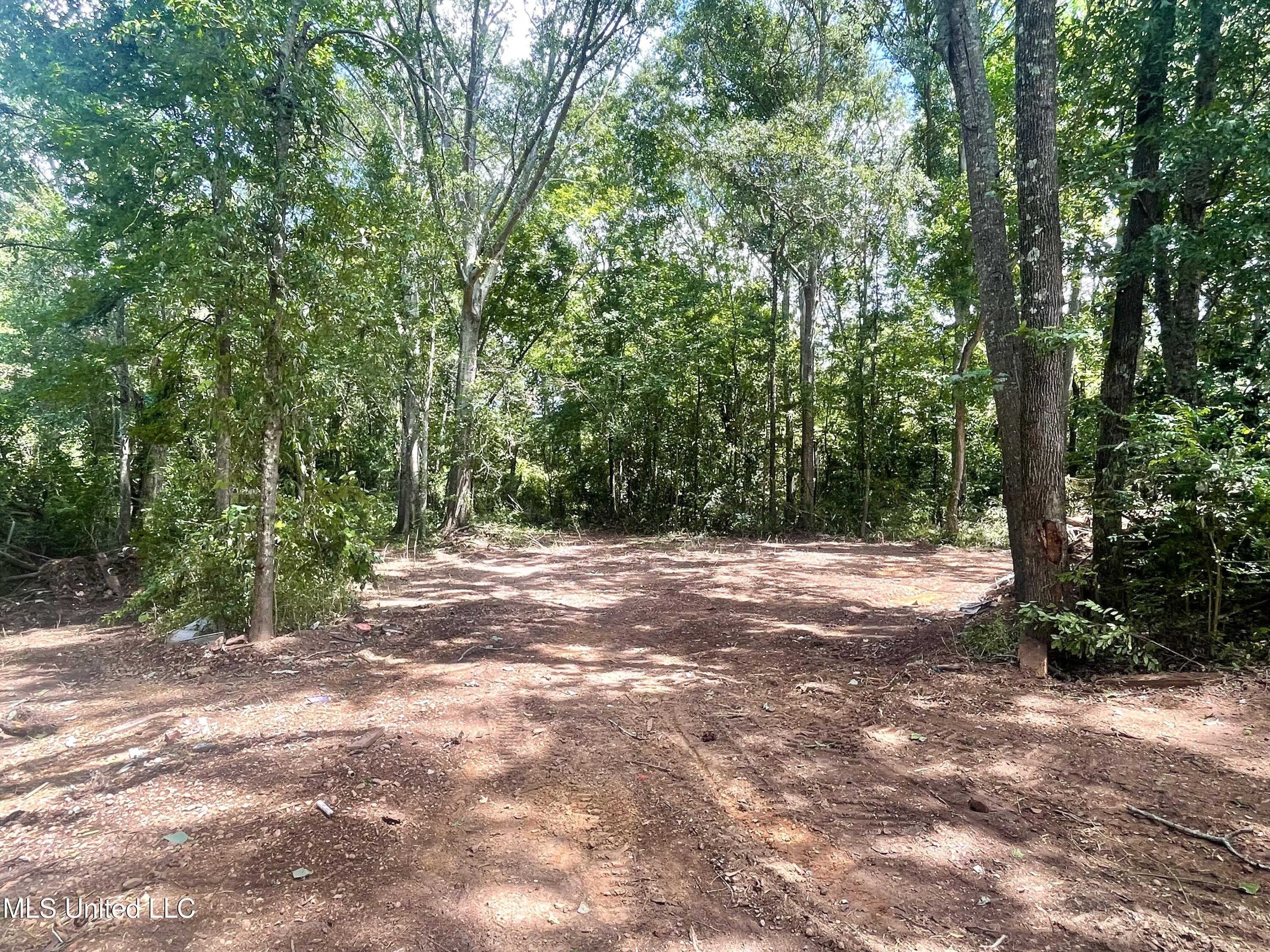 402 Drury Lane Brookhaven, MS 39601 - Photo 9 of 16 IMG_8662