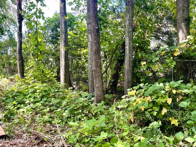 $250,000 | 402 Drury Lane, Brookhaven, MS 39601