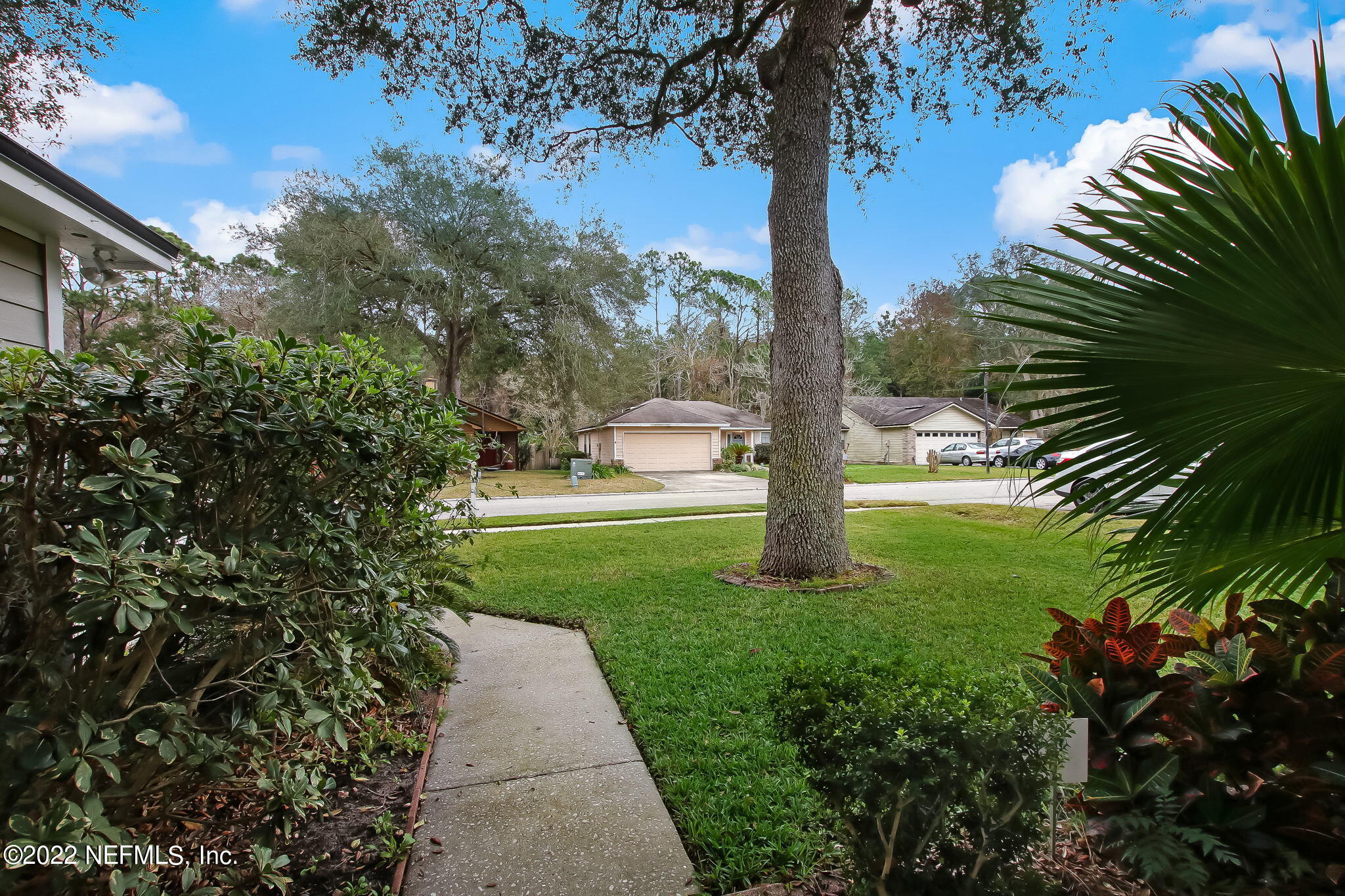 1618 Panther Ridge Court Jacksonville, FL 32225 - Photo 3 of 46 a view of a yard with plants