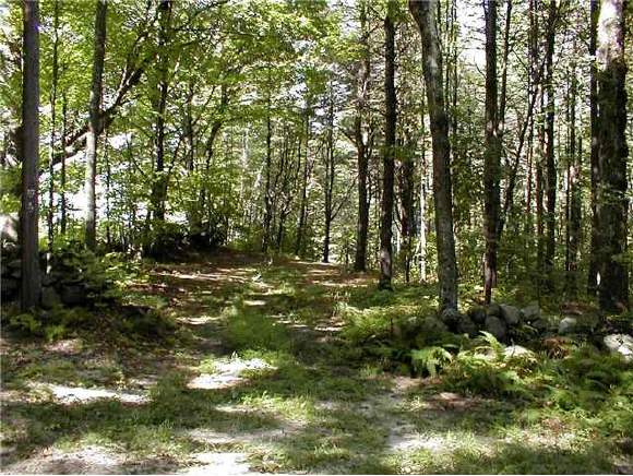 0 Irish Hill Road Hopkinton, NH 03229 - Photo 1 of 1