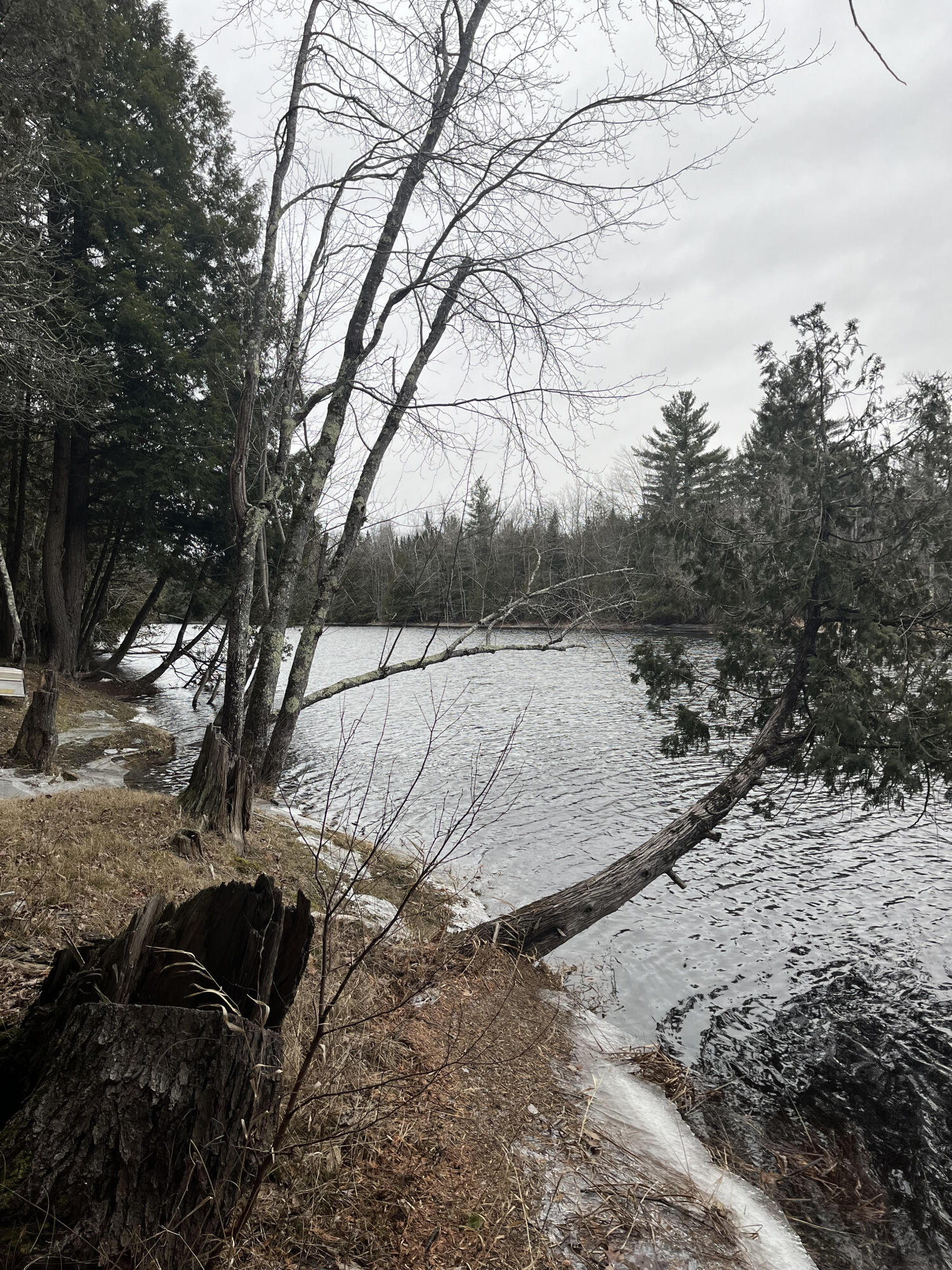 0 Gale Road Palmyra, ME 04965 - Photo 2 of 4 Nicolas Ledu photo waterfront 2