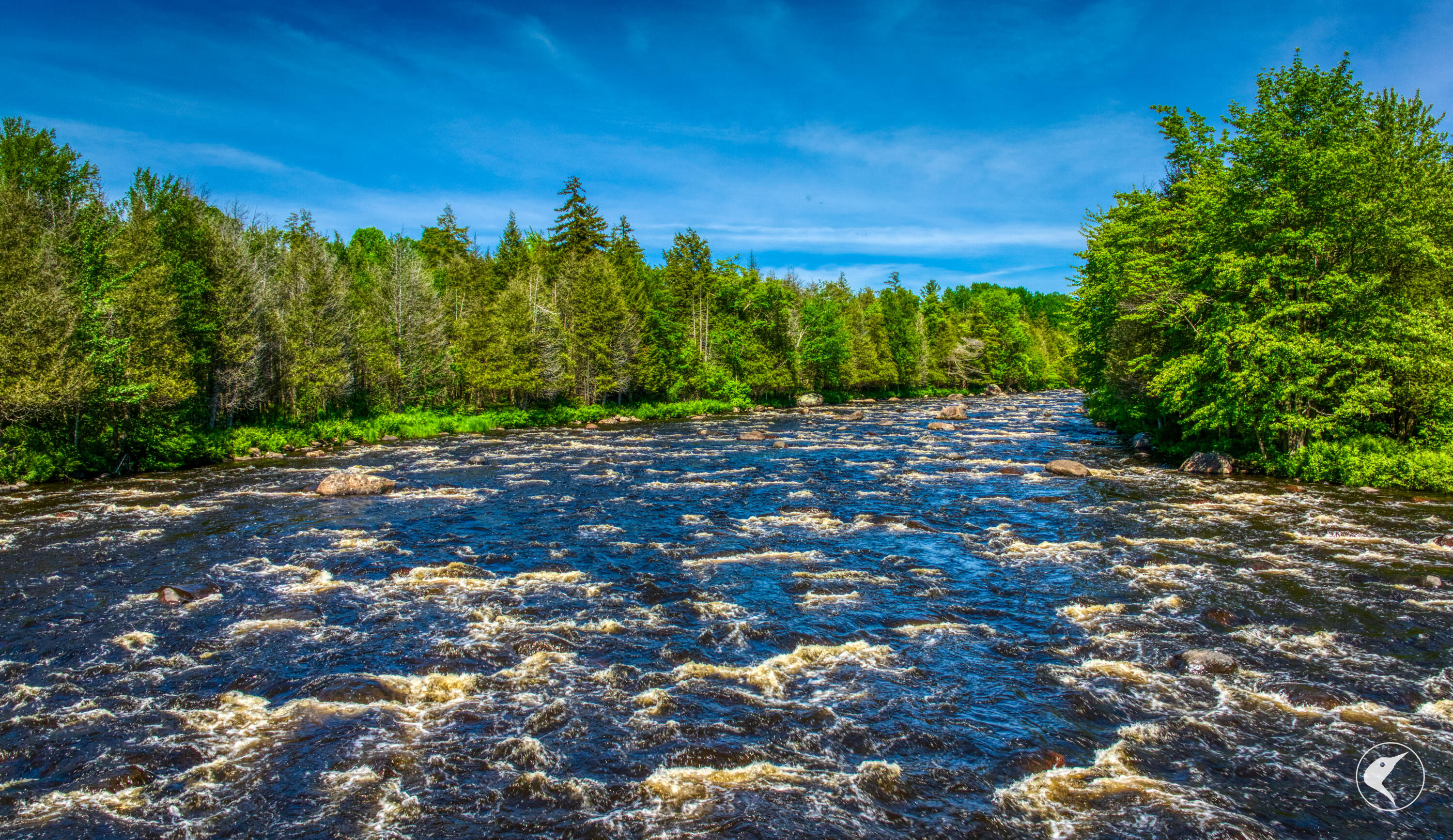 291 Hewitt Road St. Regis Falls, NY 12980 - Photo 9 of 154