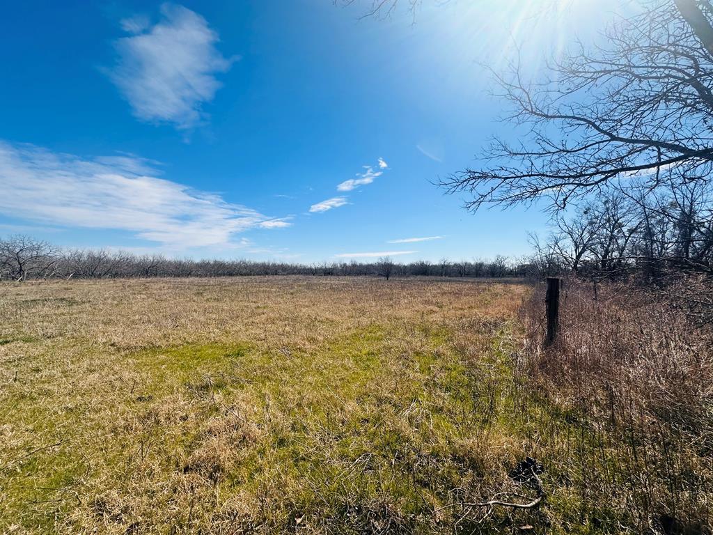 0 Ola Road Kaufman, TX 75142 - Photo 1 of 1 Main View