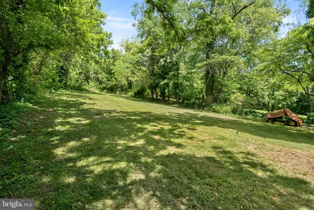 a view of a house with potted plants and large trees