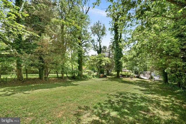 a view of a house with potted plants and a yard