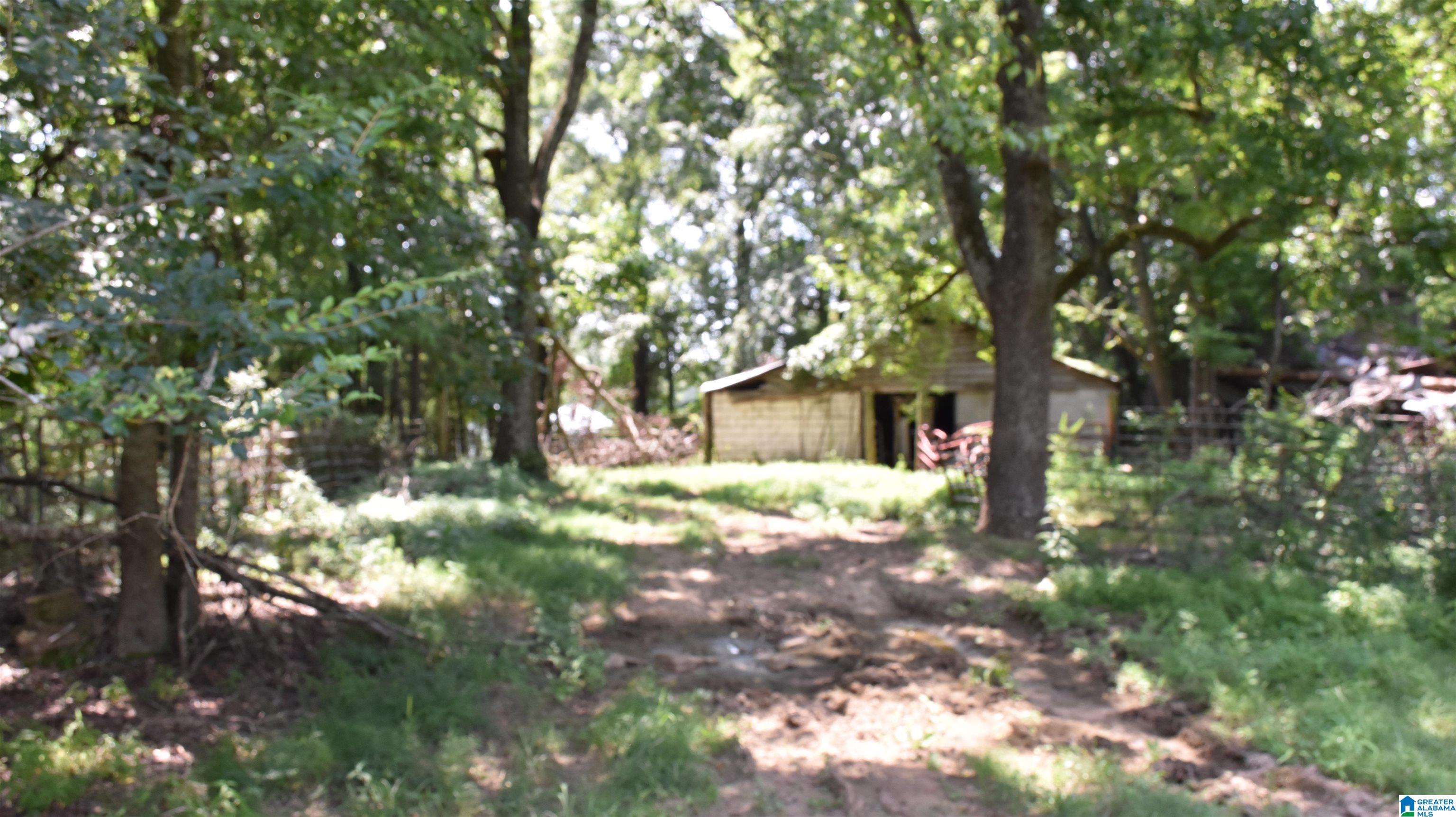0 Risers Mill Road Alpine, AL 35014 - Photo 21 of 25