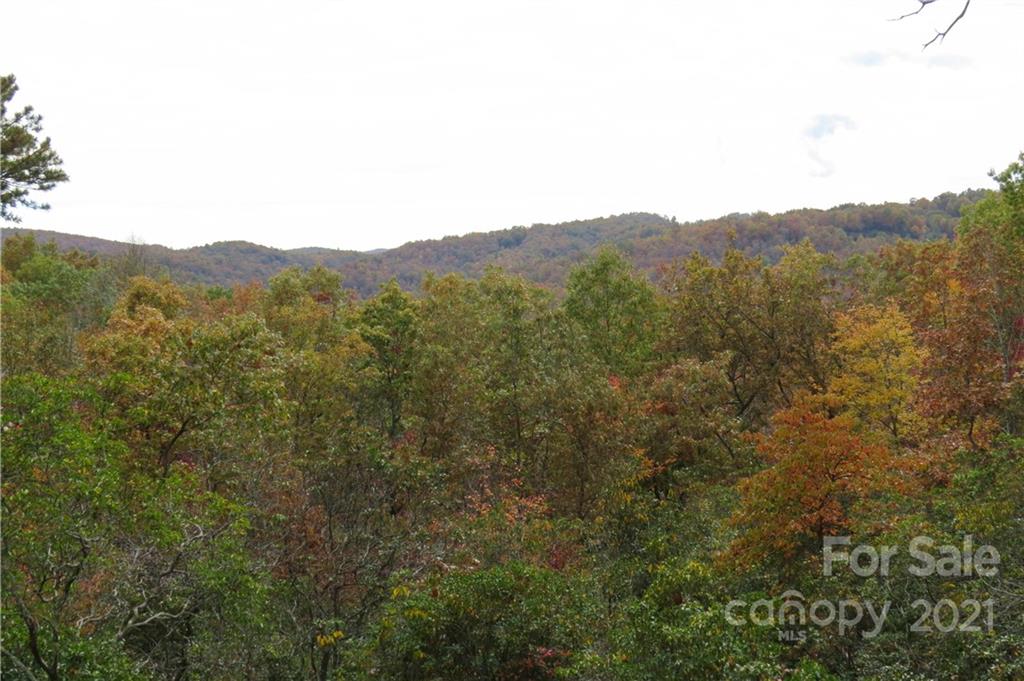 80 Ballard Road Brevard, NC 28712 - Photo 2 of 8 Gallery Image 2
