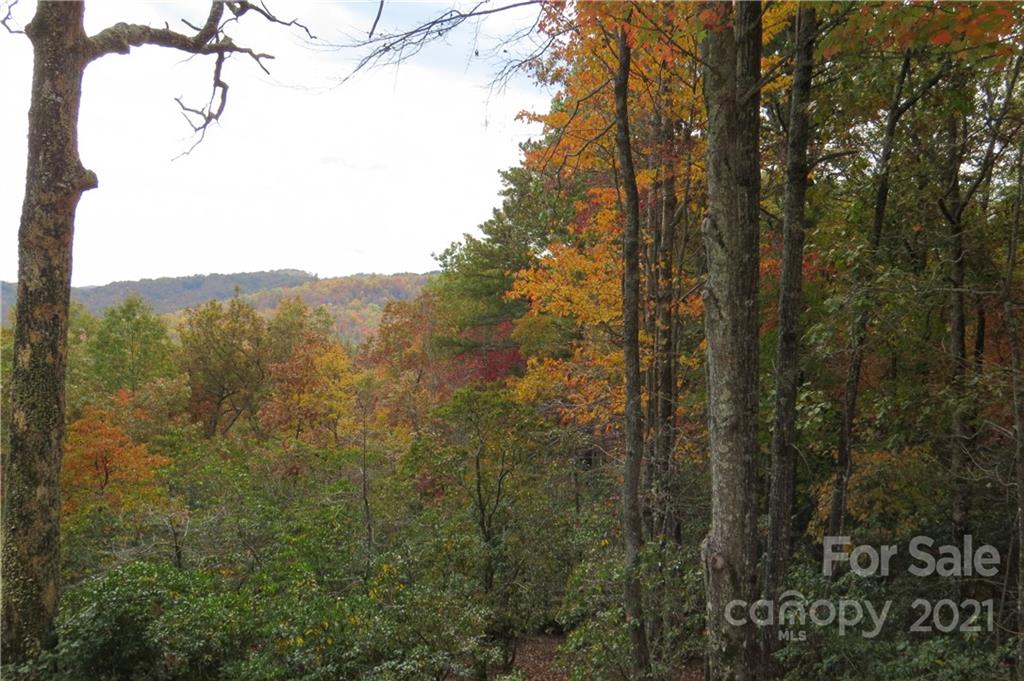 80 Ballard Road Brevard, NC 28712 - Photo 3 of 8 Gallery Image 3
