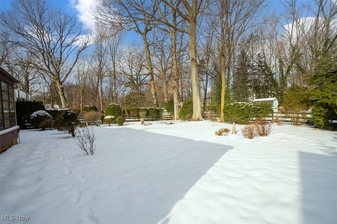 3609 Brinkmore Road Cleveland, OH 44121 - Photo 44 of 50 View of yard covered in snow