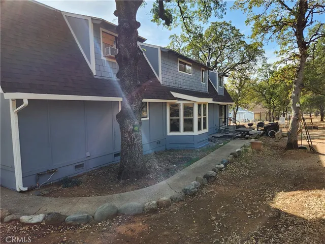 a row of palm trees and a fire pit with large trees
