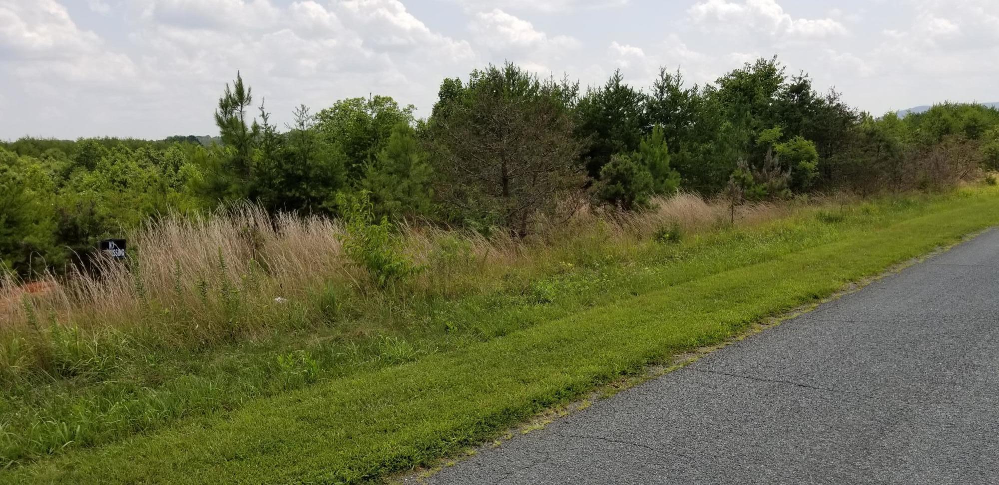 Lot 2 Hatchett Road Penhook, VA 24137 - Photo 3 of 13 a view of a lake with a yard