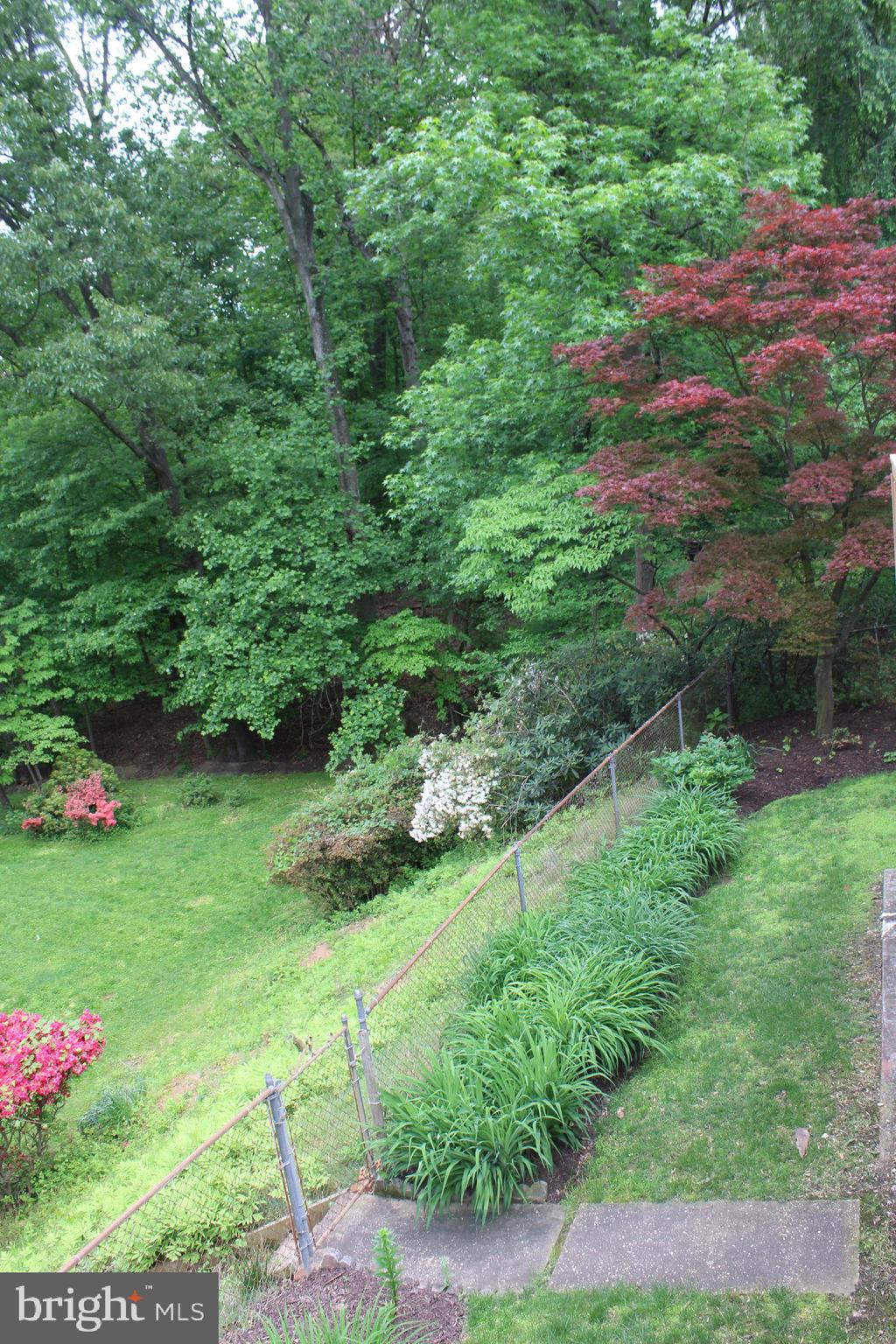 13217 Clifton Road Silver Spring, MD 20904 - Photo 15 of 31