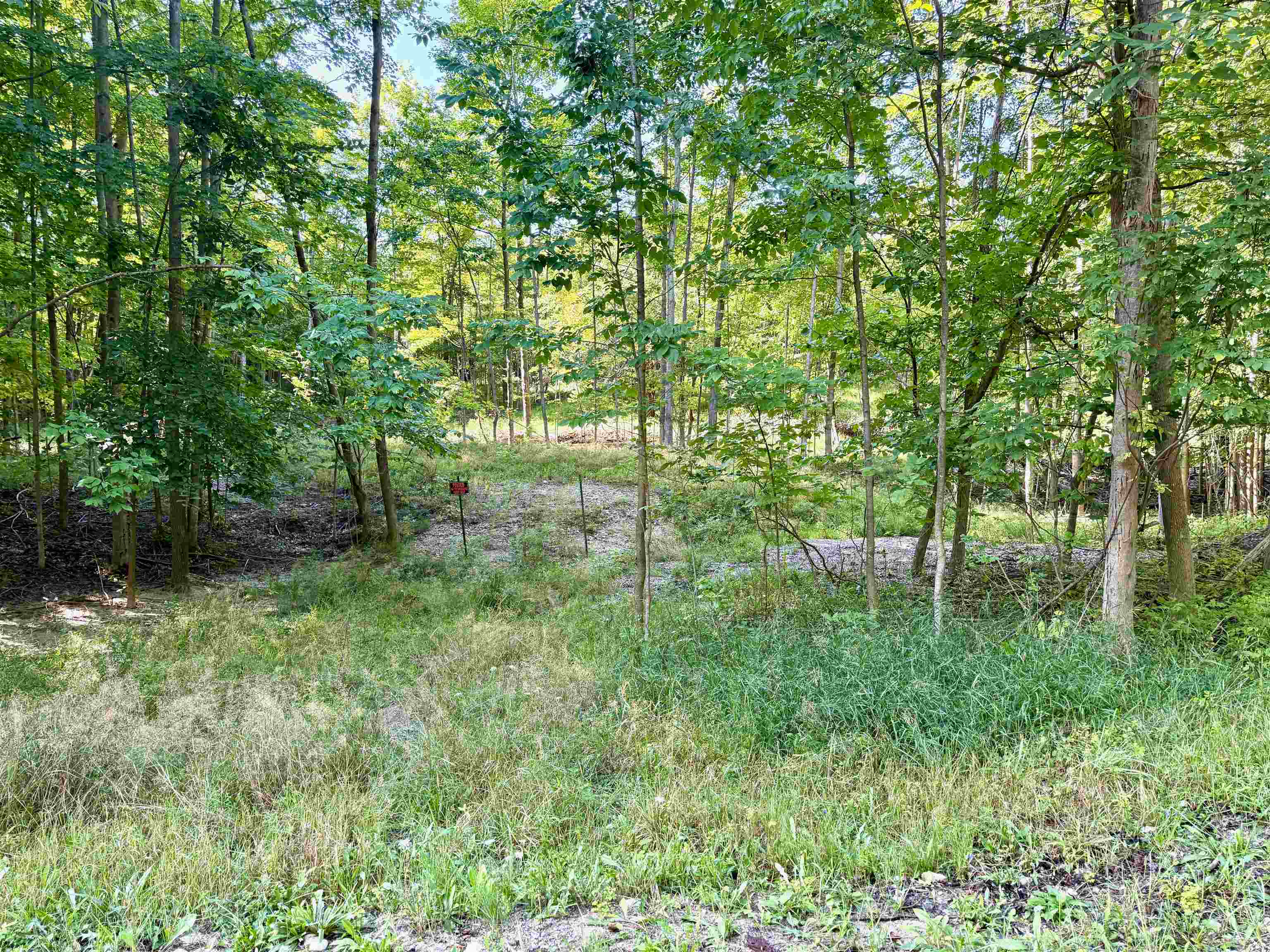161 West Nachazel Road Maple City, MI 49664 - Photo 7 of 18