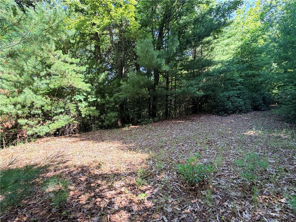 171-172b Blue Rock Road Purlear, NC 28665 - Photo 8 of 47