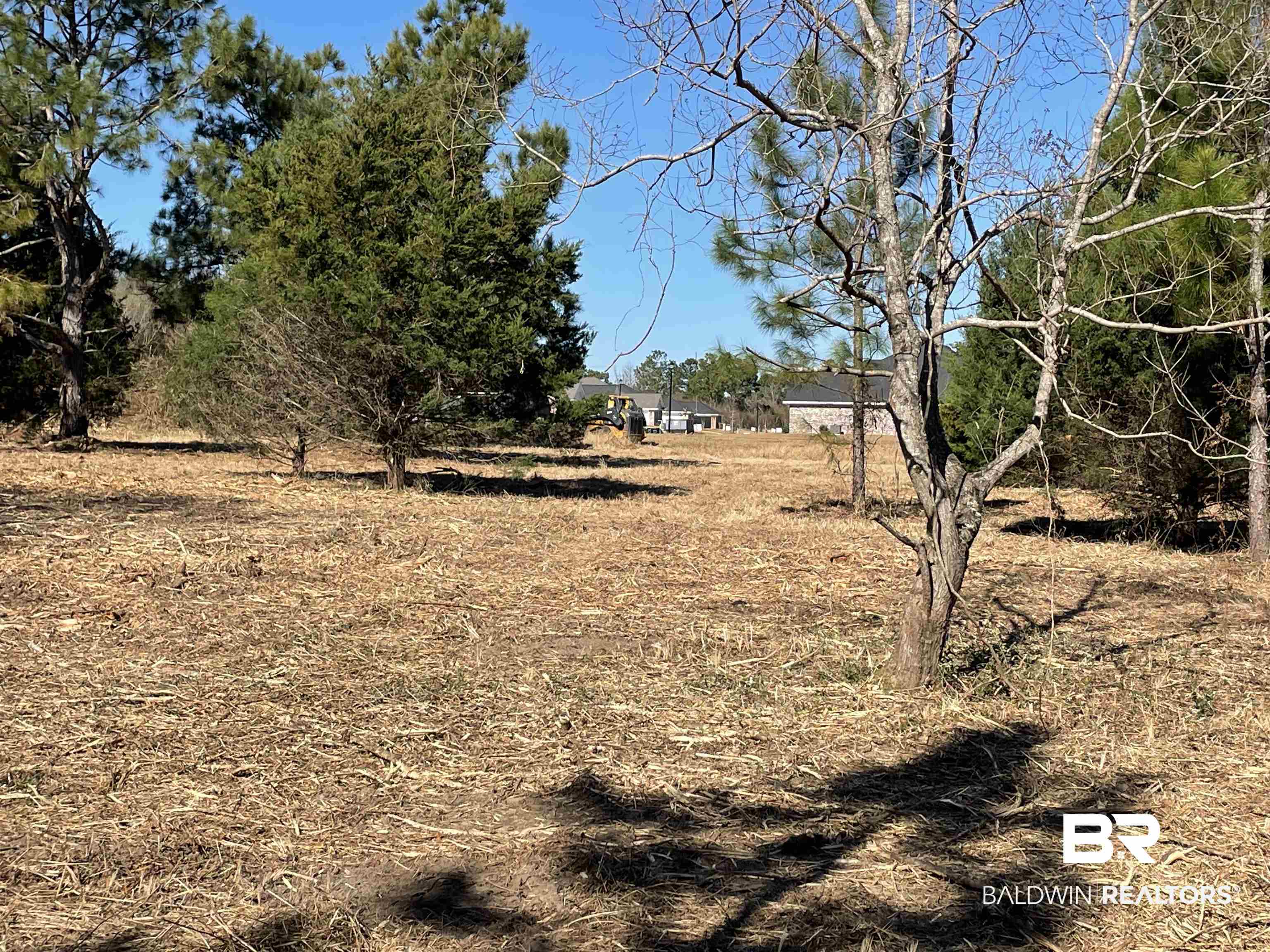 0 Makaira Drive Foley, AL 36535 - Photo 18 of 33