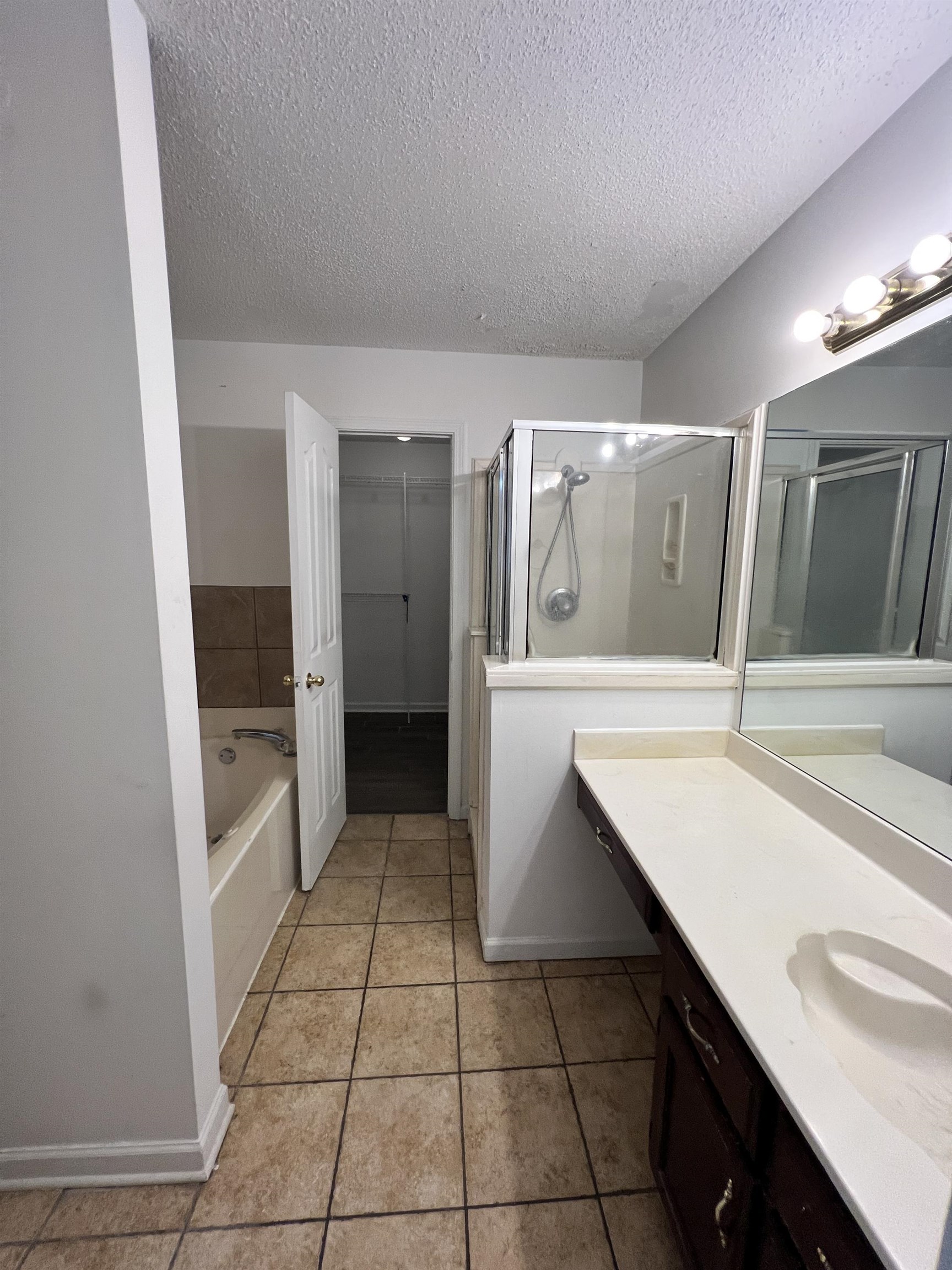 5760 Pecan Trace Memphis, TN 38135 - Photo 9 of 15 Bathroom featuring a spacious closet, vanity, a stall shower, a bath, and light tile patterned flooring