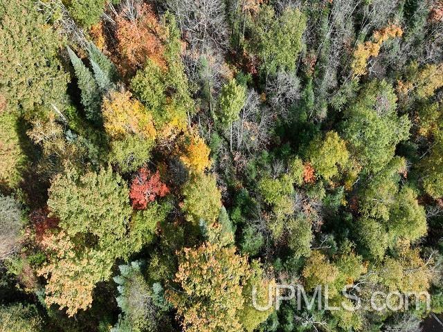 5800 Wolf Lake Road Watersmeet, MI 49969 - Photo 68 of 86