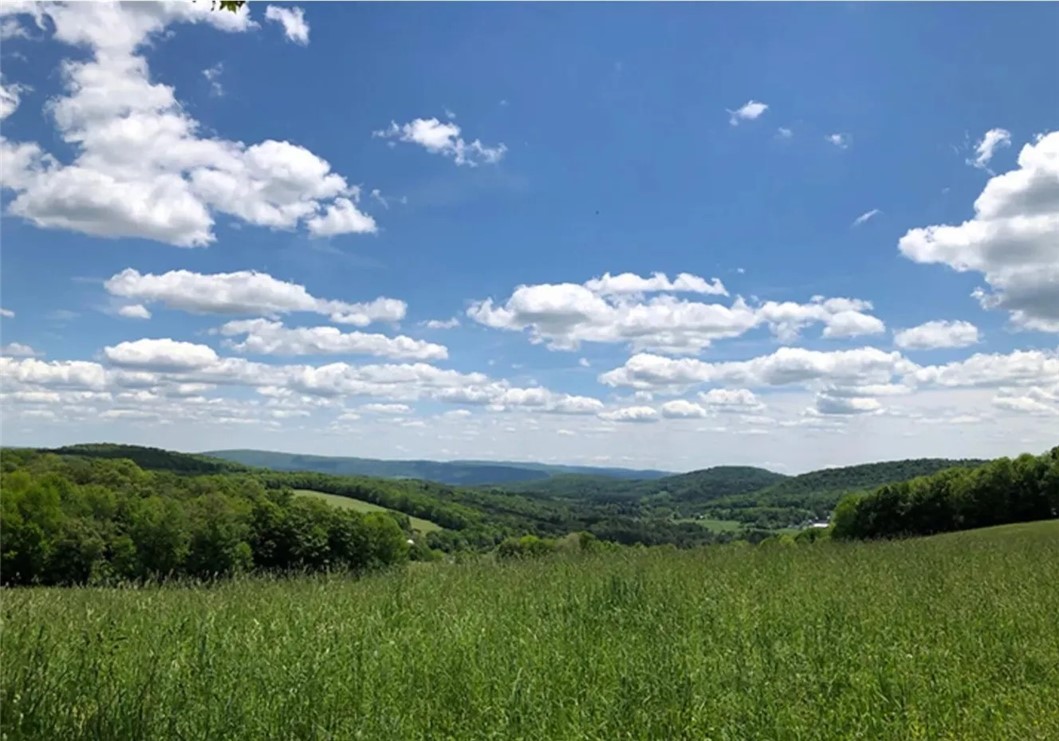 Lot 22.07 Nersesian Road Hartwick, NY 13348 - Photo 1 of 1