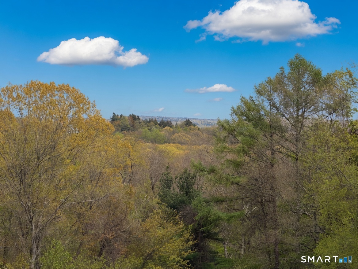 25 Highmeadow Lane Roxbury, CT 06783 - Photo 4 of 39