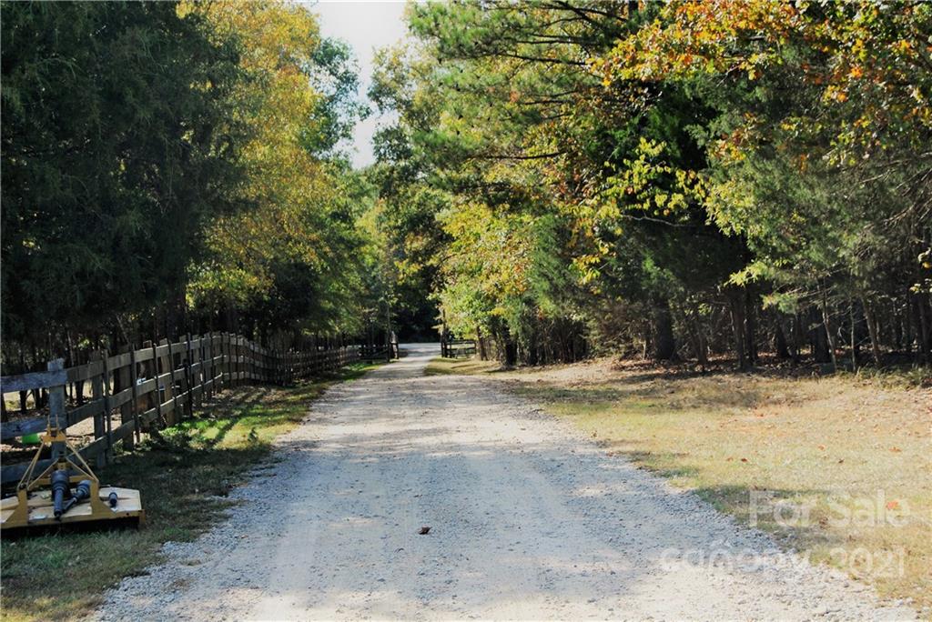 1208 Hammond Carnes Road Lancaster, SC 29720 - Photo 8 of 20 a view of a yard with trees