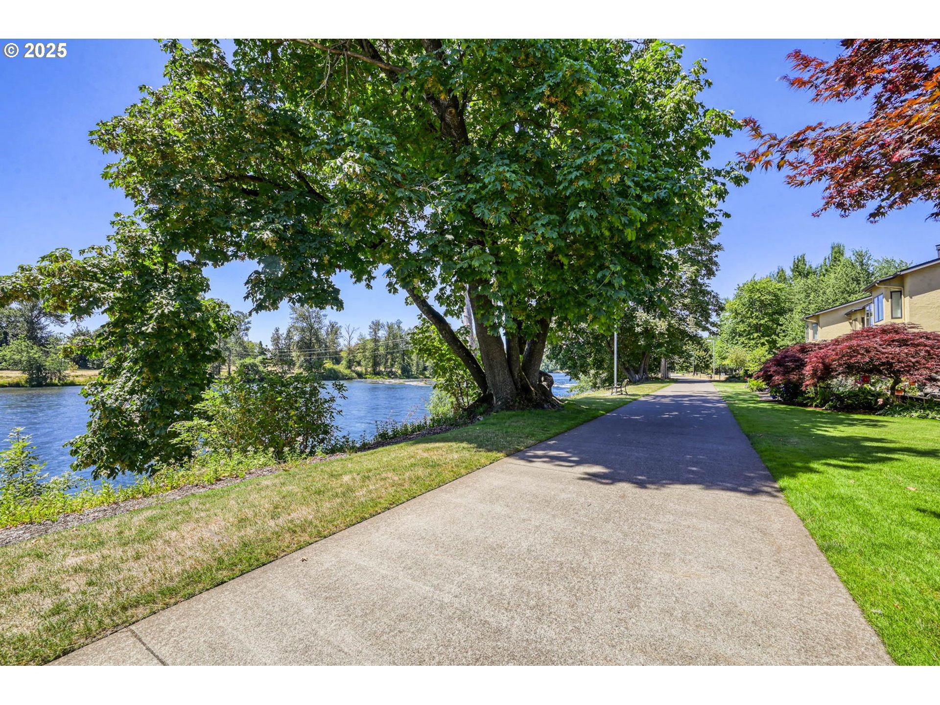 648 Wimbledon Court Eugene, OR 97401 - Photo 44 of 45 a view of a park with plants and trees