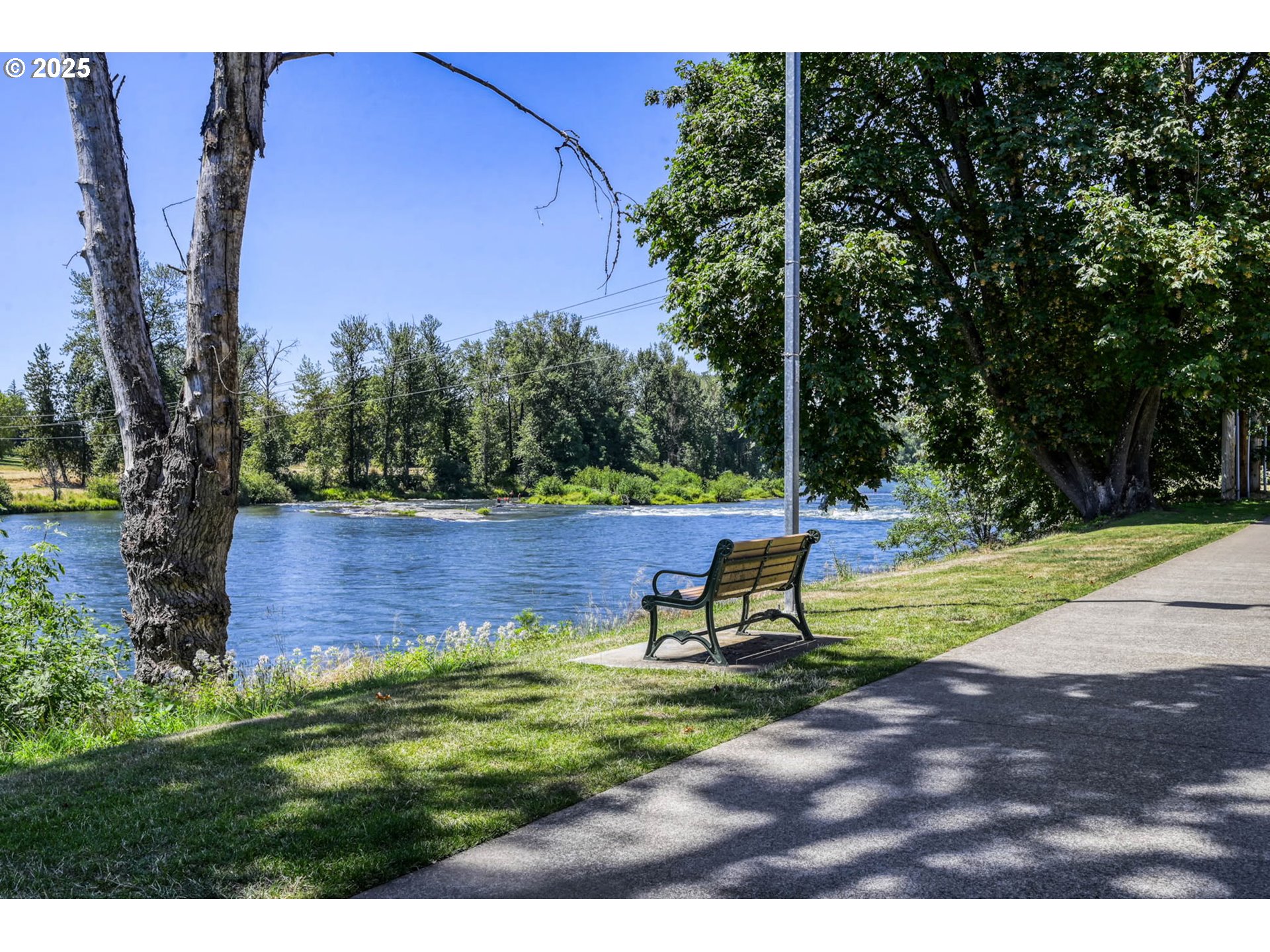 648 Wimbledon Court Eugene, OR 97401 - Photo 45 of 45 a view of a park with large trees