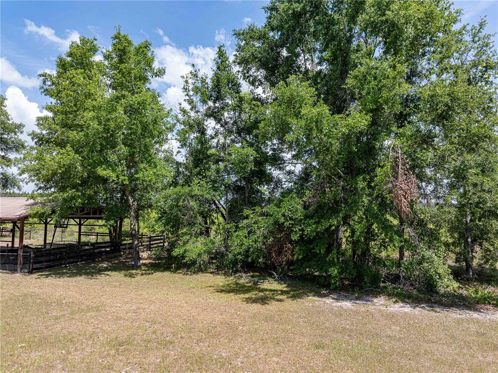 15527 194th Place O'Brien, FL 32071 - Photo 31 of 40 a view of backyard with green space