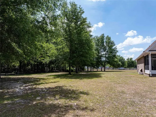 a view of a swimming pool and trees in the background
