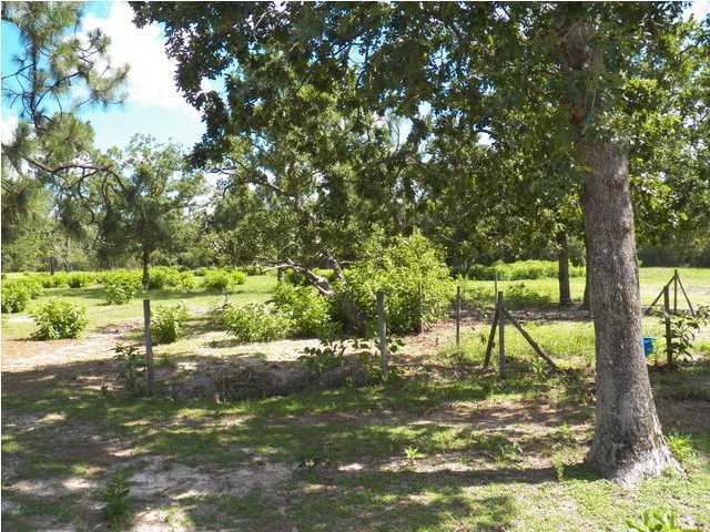 1490 Richardson Road DeFuniak Springs, FL 32433 - Photo 27 of 29 a view of backyard with tree