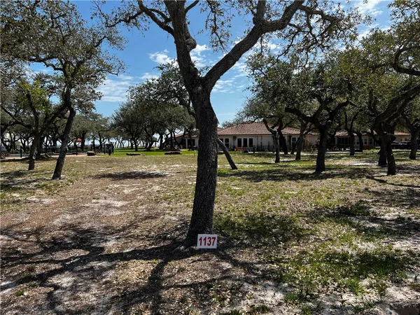 a view of park with trees