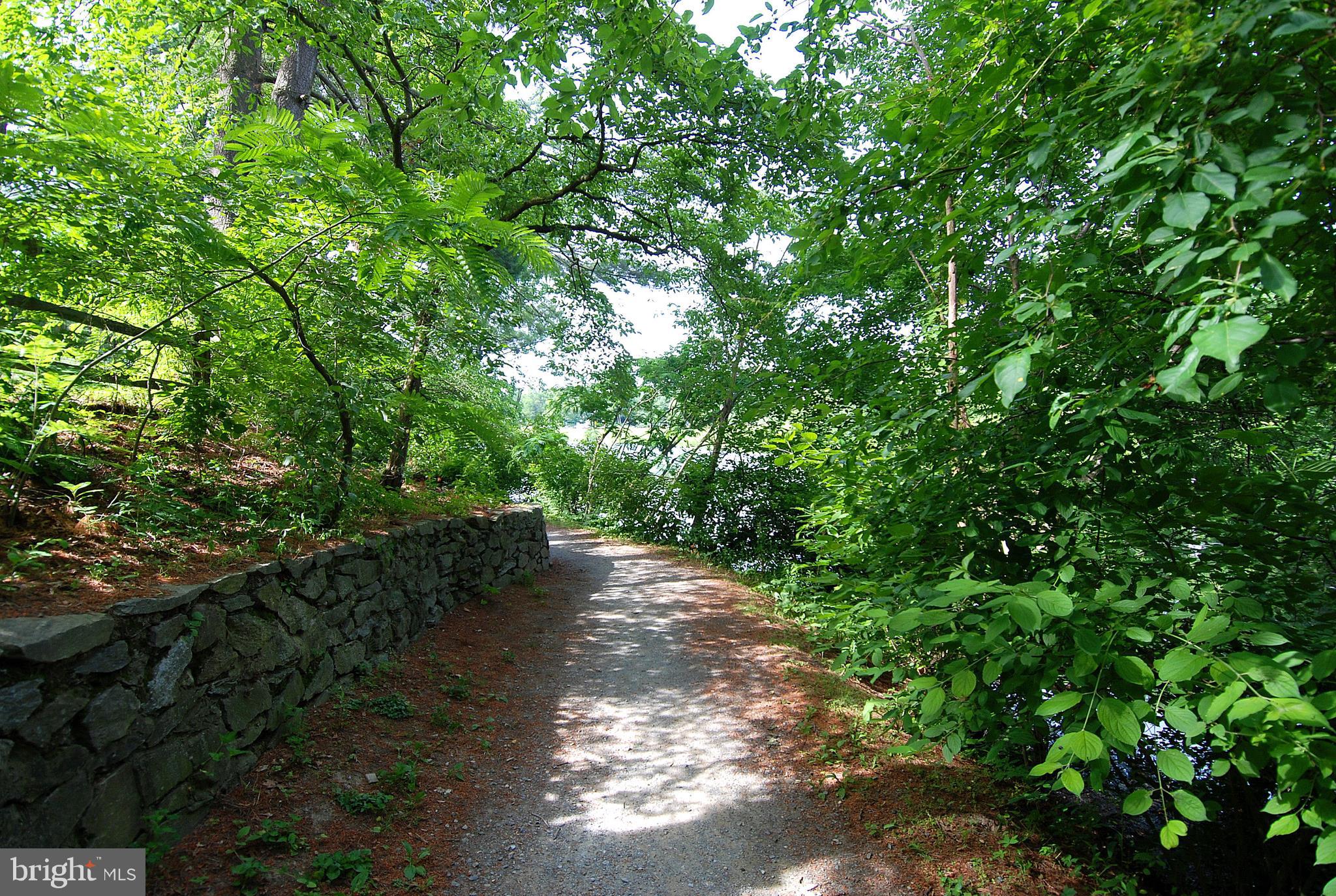 19533 Transhire Road Gaithersburg, MD 20886 - Photo 27 of 31 Nature trail