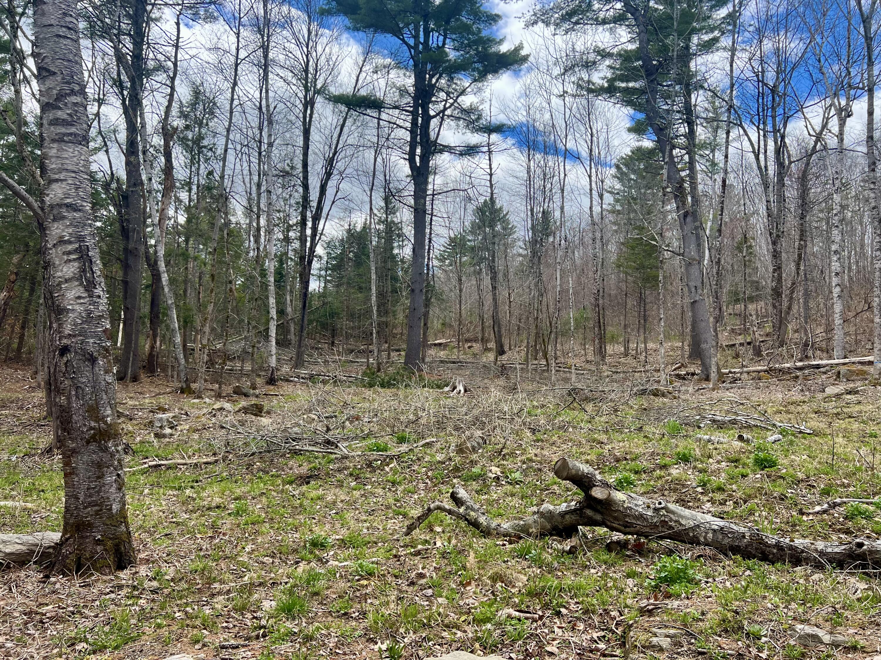 20 Skyscraper Hill Road Brooks, ME 04921 - Photo 24 of 35 IMG_8785
