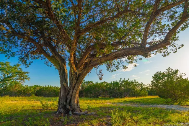 a view of a yard with an outdoor space
