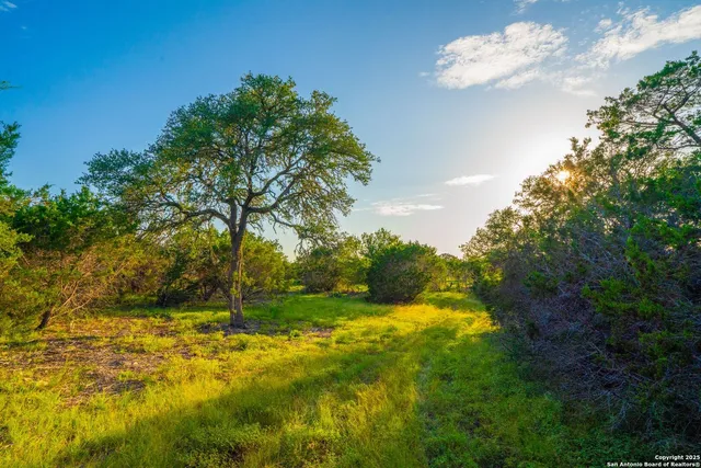 a view of backyard with swimming pool