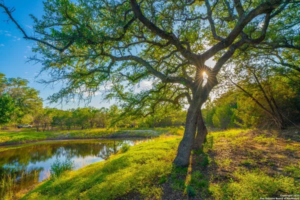 a view of lake