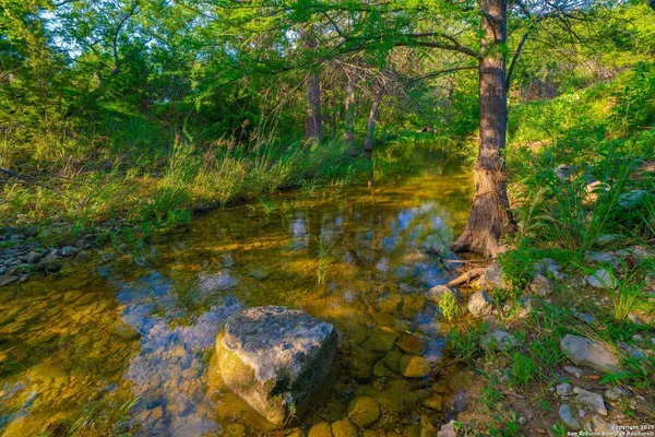a view of a tree