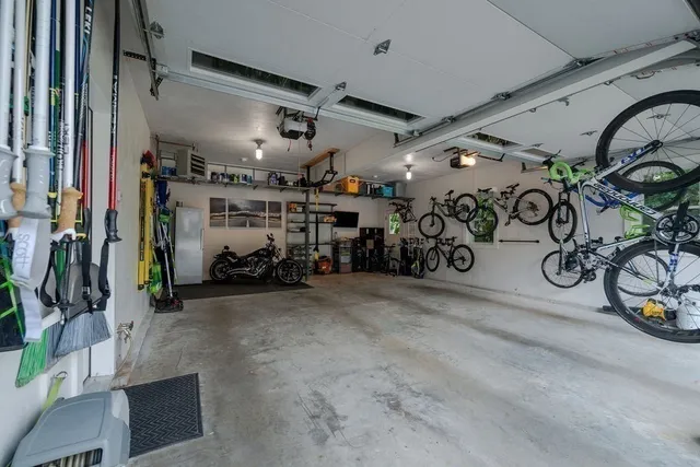 a view of a yard with plants and a bench