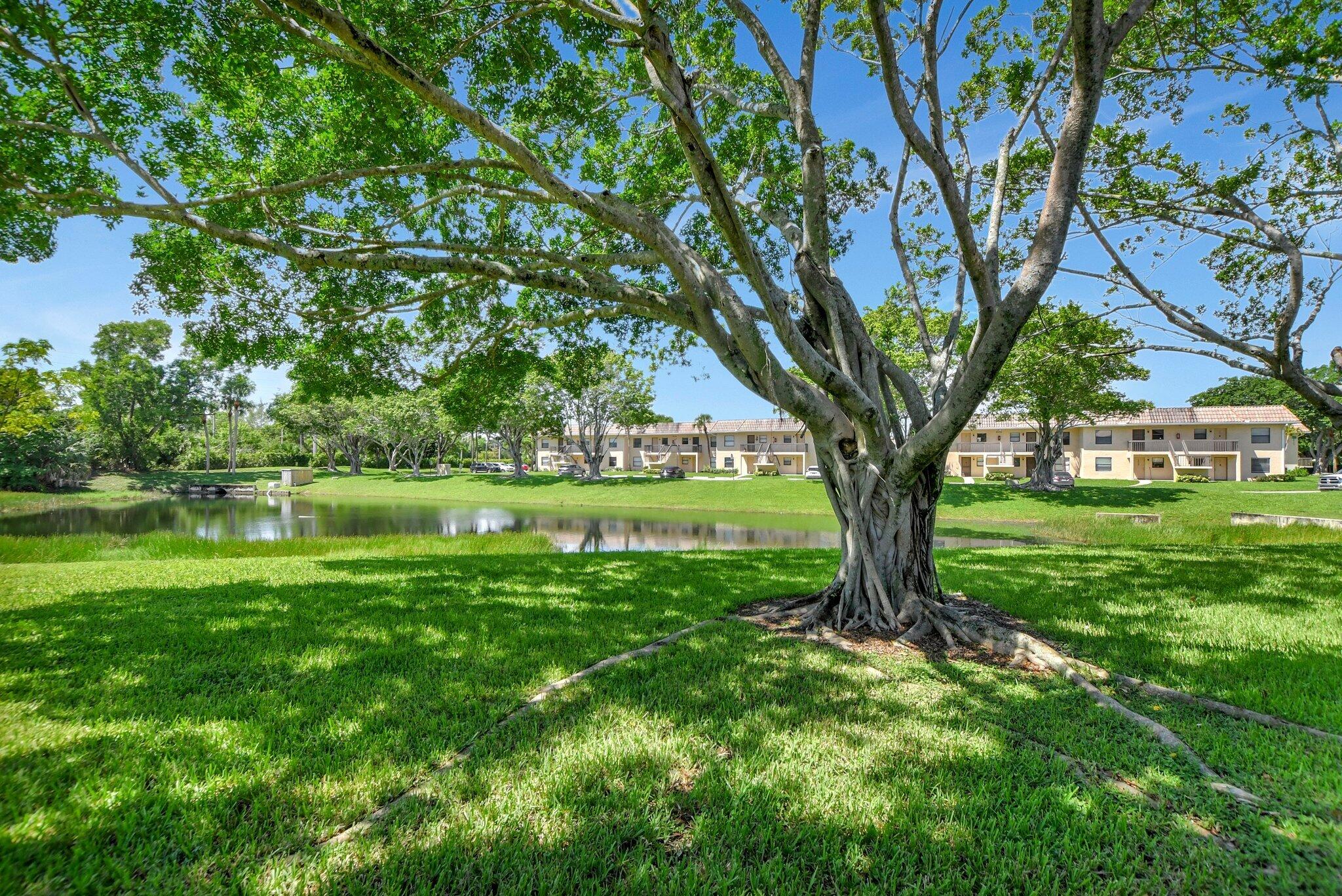 6660 Somerset Drive, Unit 102 Boca Raton, FL 33433 - Photo 23 of 32 26-web-or-mls-DSC_0181