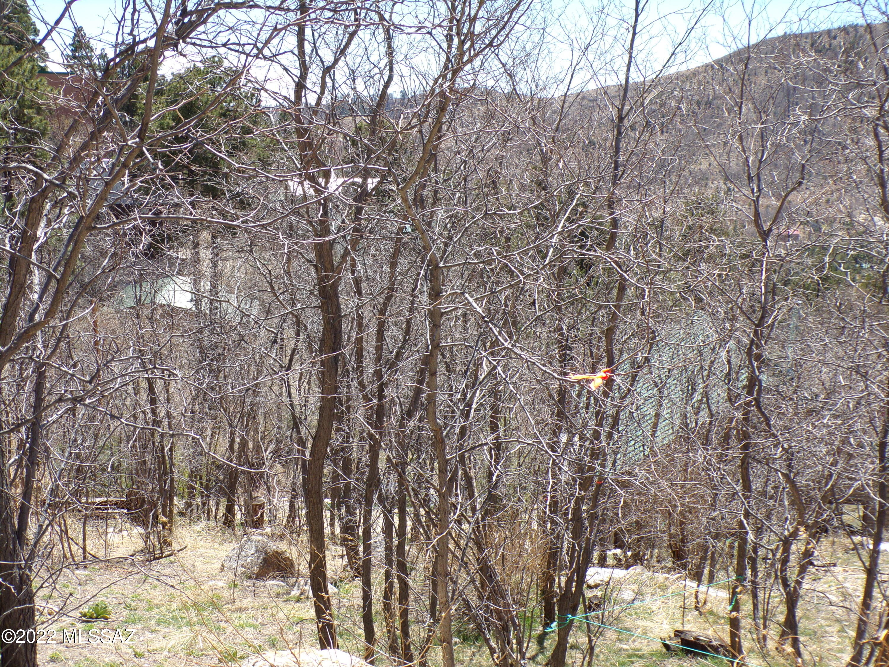 12979 Yuma Road, Unit 7 Mount Lemmon, AZ 85619 - Photo 7 of 14