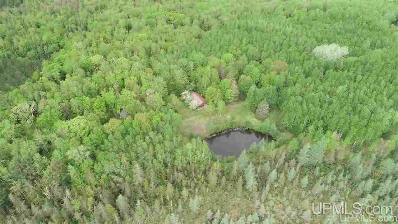Tbd Off 2240 Road Nahma, MI 49864 - Photo 7 of 20