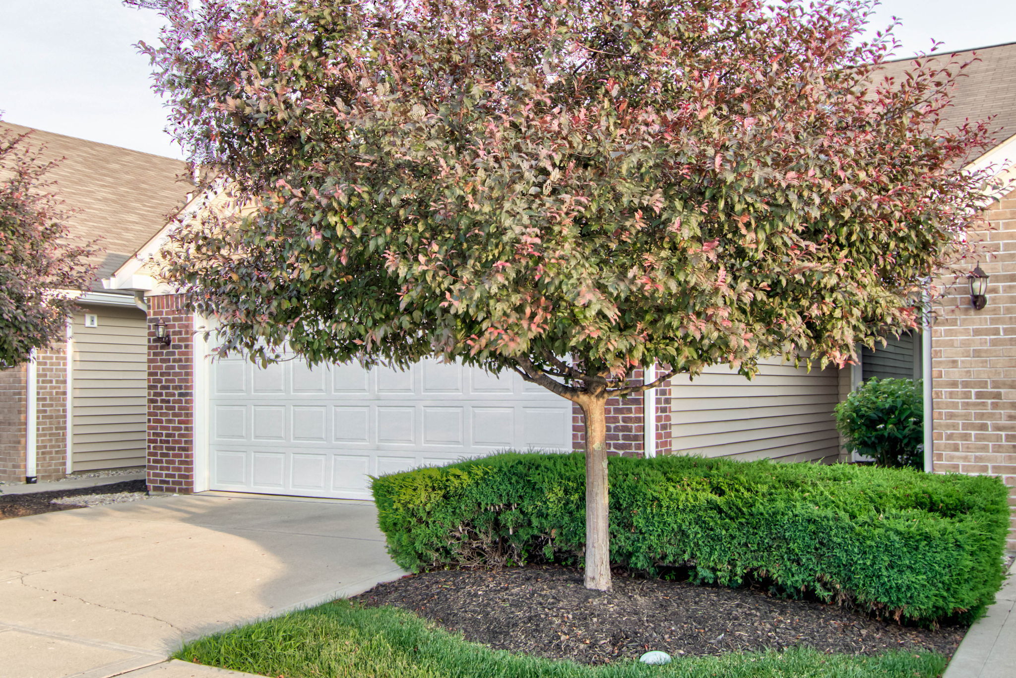 9732 Highpoint Ridge Drive, Unit 102 Fishers, IN 46037 - Photo 6 of 63 Gallery Image 6
