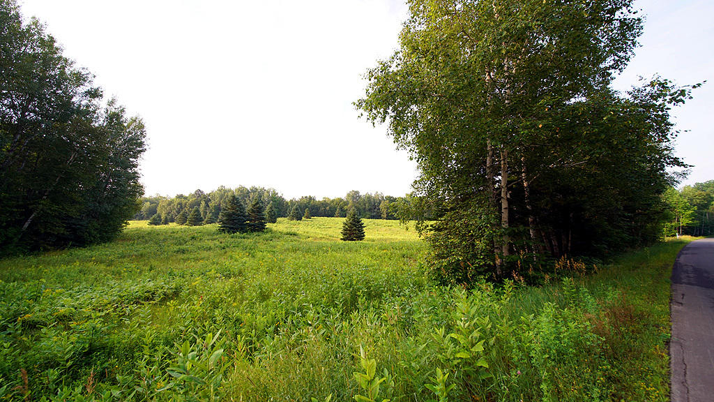 Lot 9-1 New Limerick Road Houlton, ME 04730 - Photo 4 of 40 leisner-maine-land-2