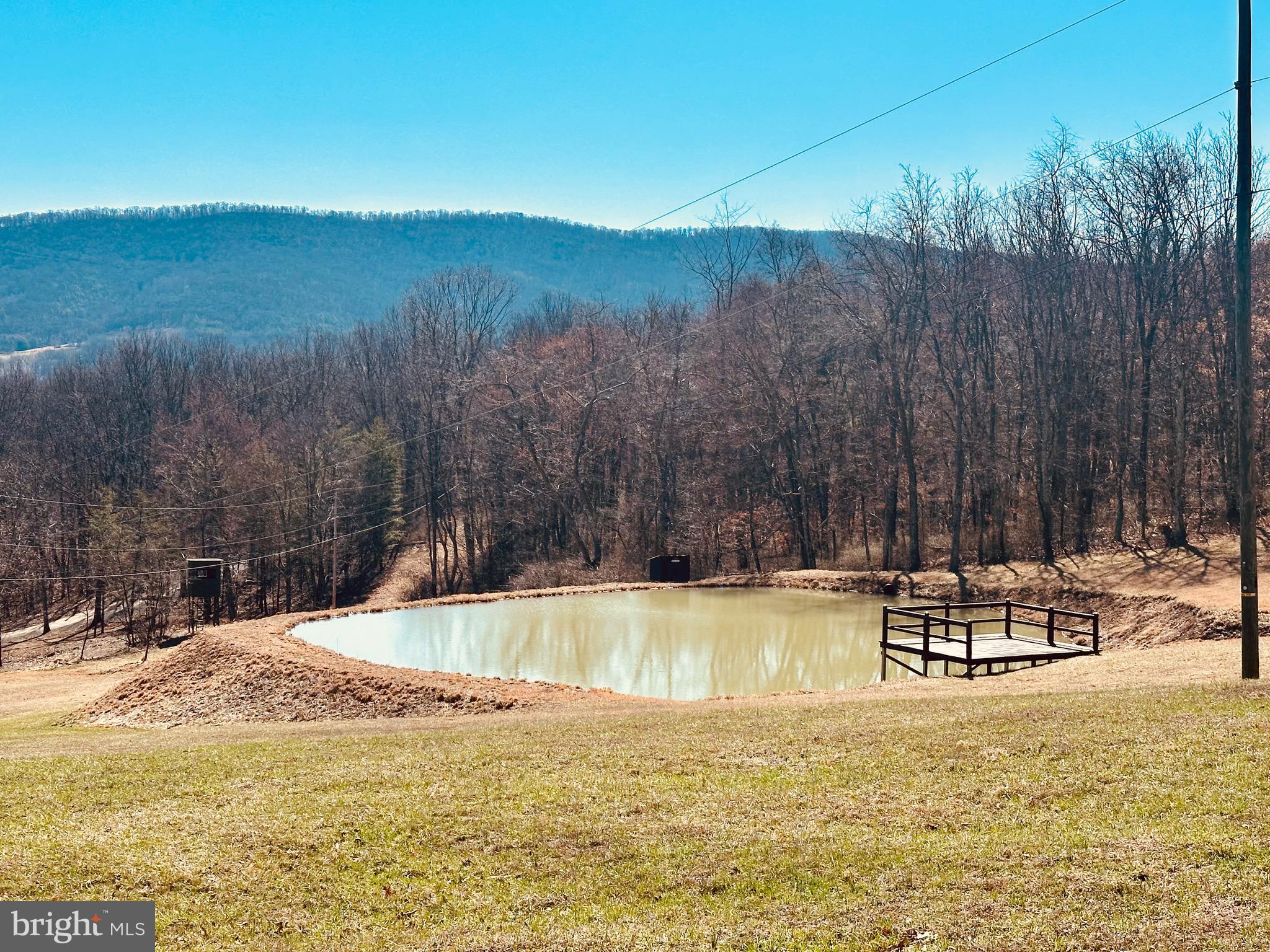 3688 Ash Ruckman Road Augusta, WV 26704 - Photo 43 of 66 STOCKED POND W/FISHING DOCK and HUNTING STAND